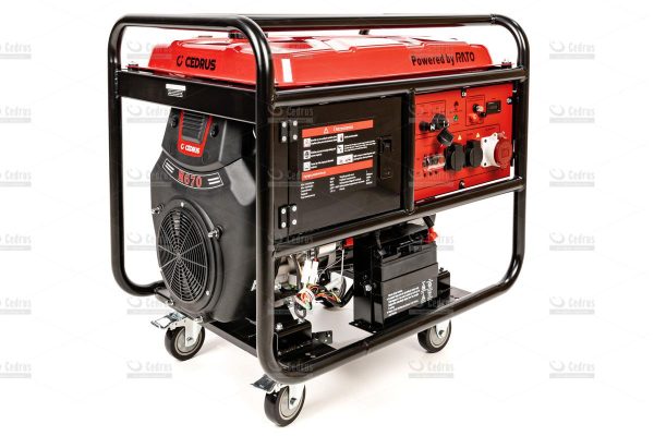 Agregat prądotwórczy Cedrus 10kW R670 3fazowy - obrazek 2
