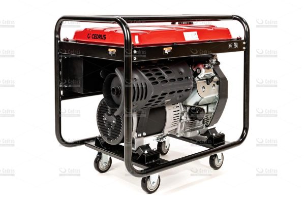 Agregat prądotwórczy Cedrus 10kW R670 3fazowy
