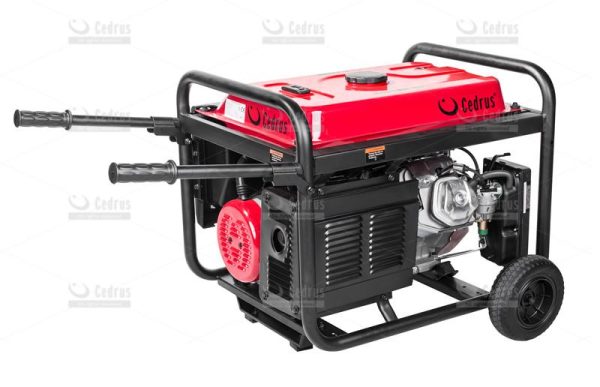 Agregat prądotwórczy Cedrus 6,8kW R440 3fazowy - obrazek 3