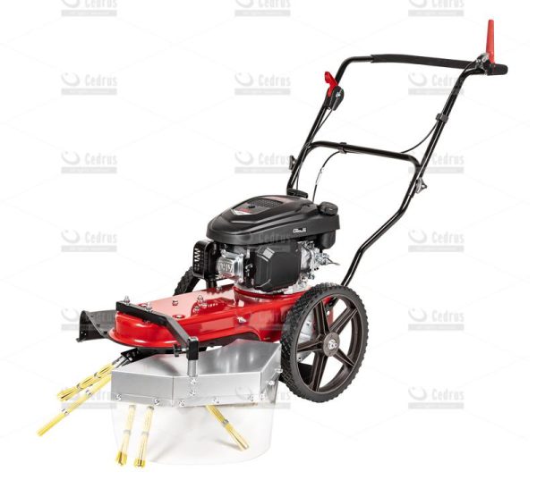 Odchwaszczarka CEDRUS  Loncin LC1P65FE-2 - obrazek 2