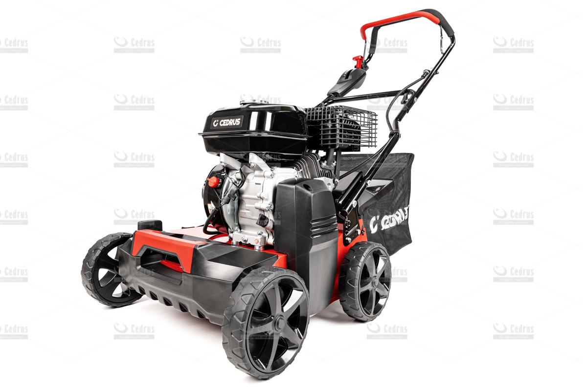 Wertykulator Cedrus 40cm