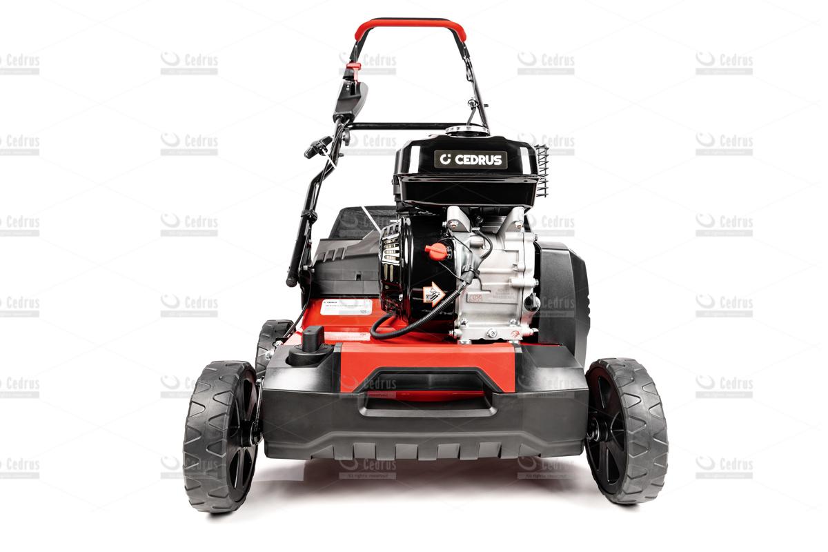 Wertykulator Cedrus 40cm - obrazek 3