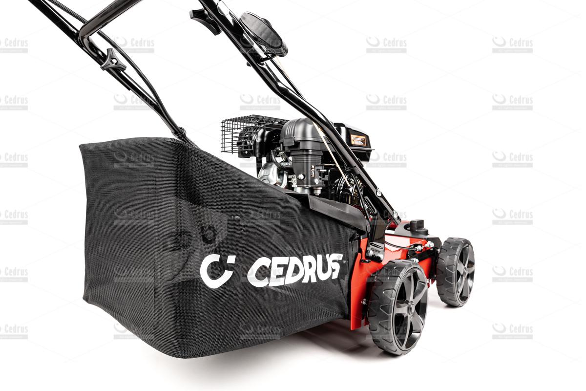 Wertykulator Cedrus 40cm - obrazek 6