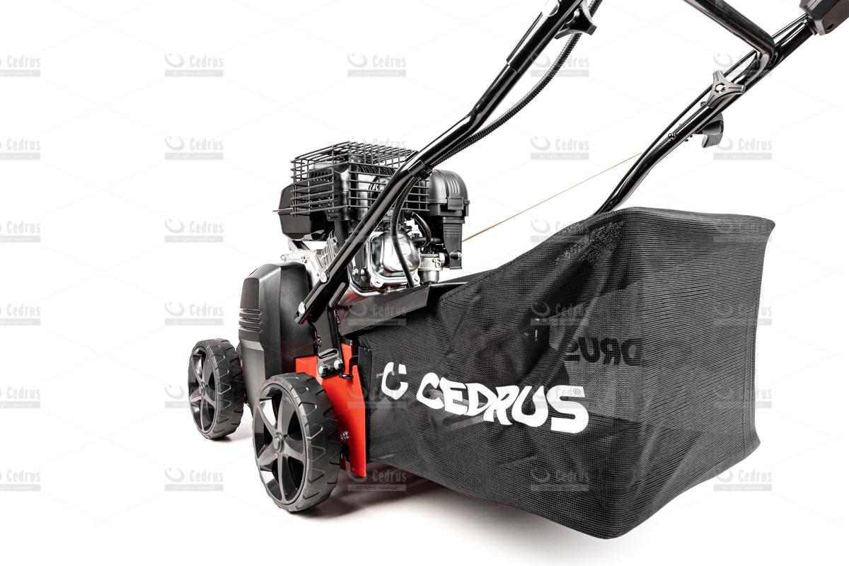 Wertykulator Cedrus 40cm - obrazek 9