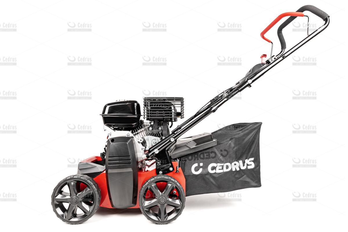 Wertykulator Cedrus 40cm - obrazek 10